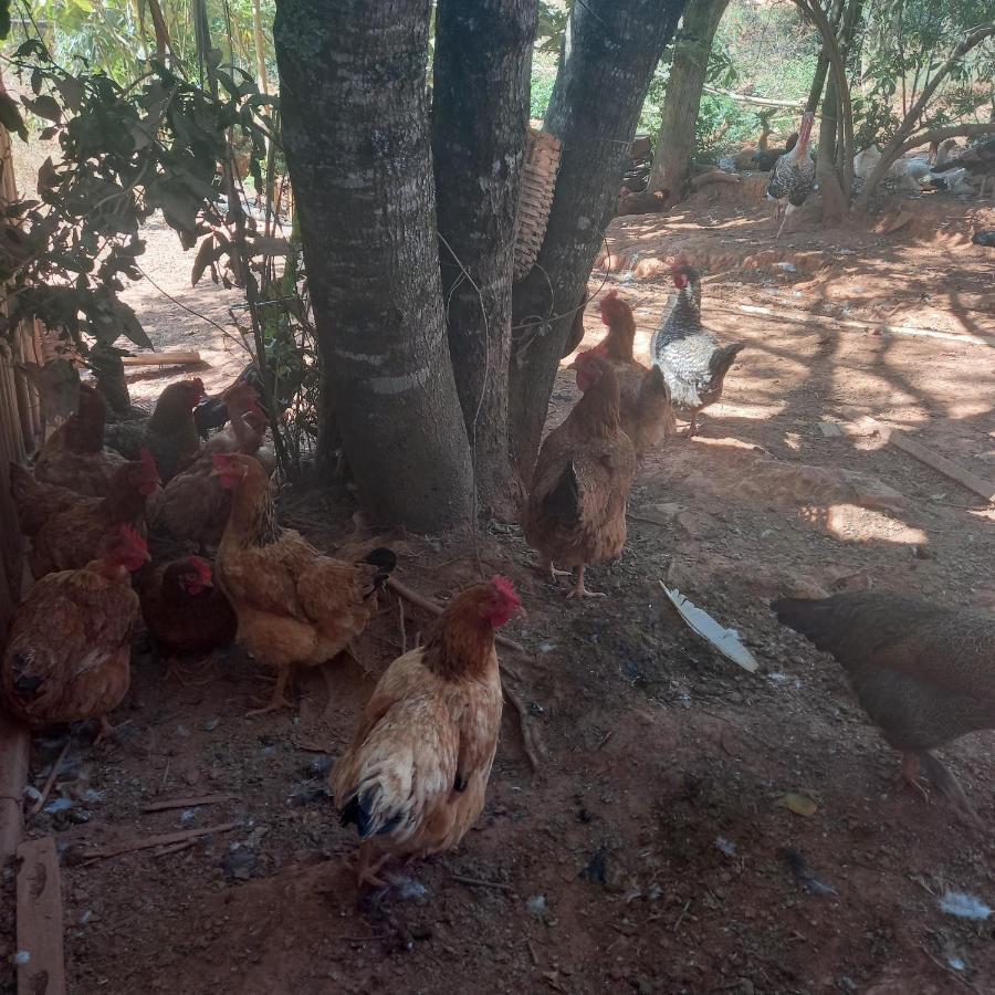 Pousada Campestre Vila Tiradentes Kültér fotó