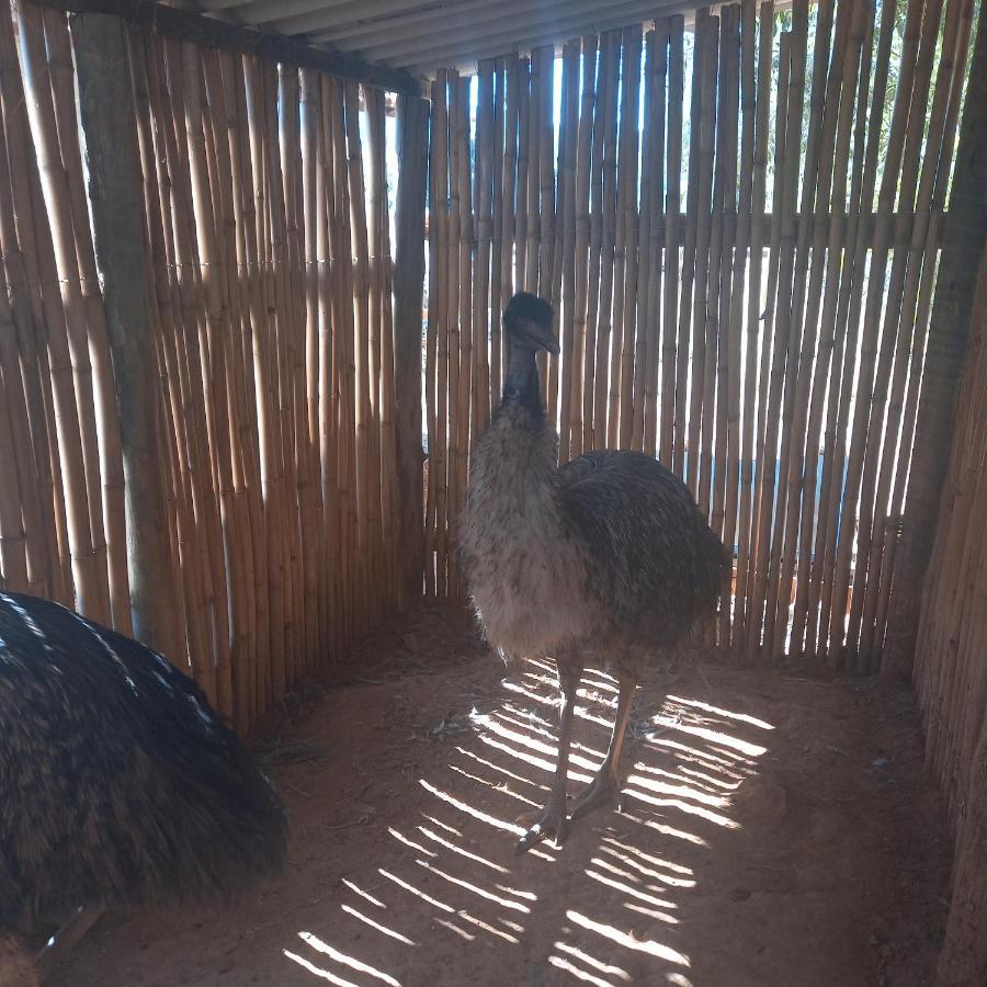 Pousada Campestre Vila Tiradentes Kültér fotó