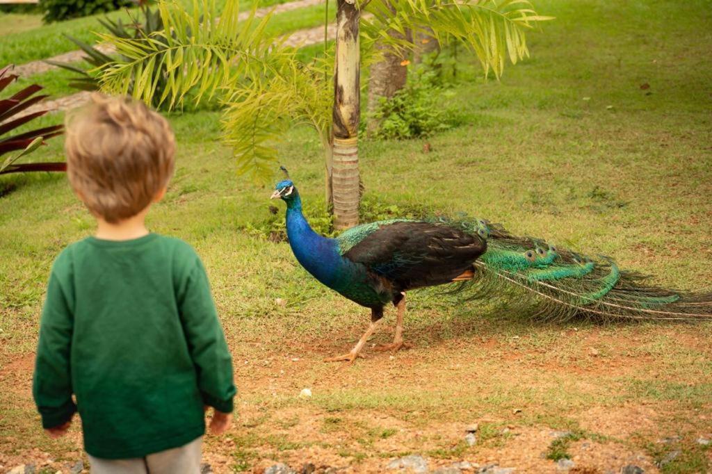 Pousada Campestre Vila Tiradentes Kültér fotó